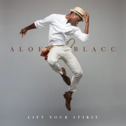 Avicii / Aloe Blacc - Wake Me Up