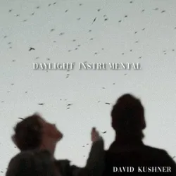 DAVID KUSHNER - DAYLIGHT