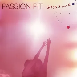 Passion Pit  -  Take A Walk