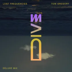 Lost Frequencies & Tom Gregory -  Dive