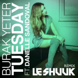 Burak Yeter Feat Danelle Sandoval - Tuesday