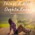 Things A Man Oughta Know - Lainey Wilson