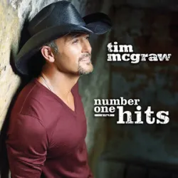 Tim McGraw - I Like It I Love It