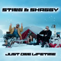 STING SHAGGY - JUST ONE LIFETIME