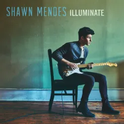 SHAWN MENDES - Theres Nothing Holdin Me Back