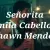 SENORITA - CAMILA CABELLO ET SHAWN MENDES