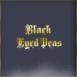 Black Eyed Peas/Fergie - I Gotta Feeling
