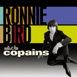 Ronnie Bird - Fais Attention