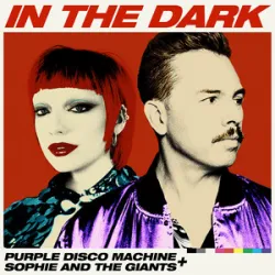 Purple Disco Machine & Sophie & The Giants - In The Dark