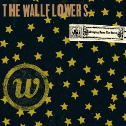 Wallflowers - One Headlight