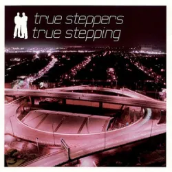 True Steppers - Out Of Your Mind Feat Dane Bowers & Victoria Beckham