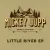 Mickey Jupp - I Should Be Loving This