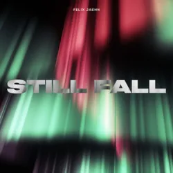 FELIX JAEHN - Still Fall (Record Mix)