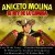 Aniceto Molina - Mix Exitos +