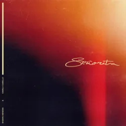Boudi Aridi - Senorita (by Shawn Mendes & Camila Cabello)