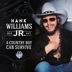 All My Rowdy Friends Are Coming Over Tonight - Hank Williams, Jr.