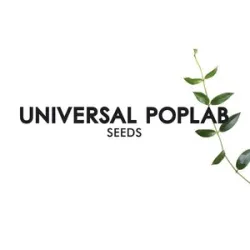Universal Poplab - Another Last Time