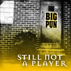 Still Not A Player - Big Punisher / Joe