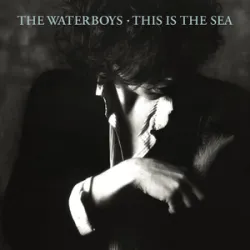 Waterboys - Whole Of The Moon