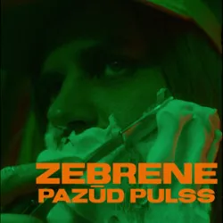 PAZŪD PULSS - ZEBRENE