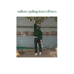 Wallows - Calling After Me