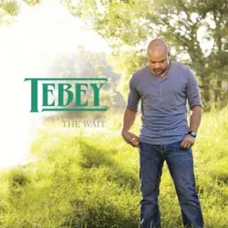Somewhere In The Country - Tebey