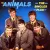 Animals - House Of The Rising Sun