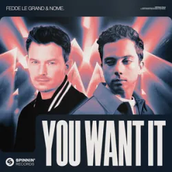 Fedde Le Grand & NOME - You Want It (Extended Mix)