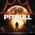 Pitbull/Christina Aguilera - Feel This Moment