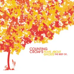 Counting Crows Feat Vanessa Carlton - Big Yellow Taxi