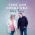 In Your Hands - Zane And Donna King