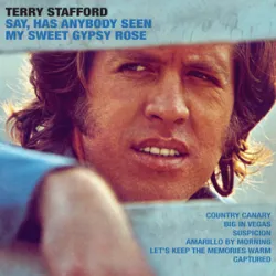 Terry Stafford - Suspicion