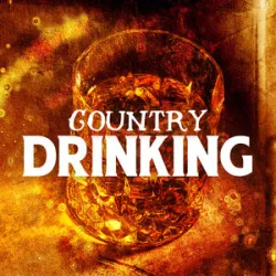 Little Big Town  - Day Drinking