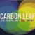 Carbon Leaf - Life Less Ordinary