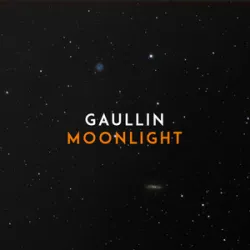 Gaullin - Moonlight (Index-1 Remix)