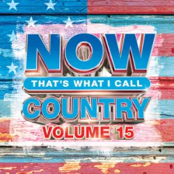 Jimmie Allen / Brad Paisley  - Freedom Was A Highway