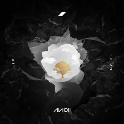 Avicii - Without You (Feat Sandro Cavazza)