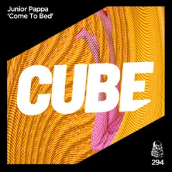 Junior Pappa - Come To Bed (Agent Greg Remix)