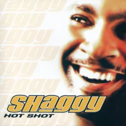 Shaggy Feat Ricardo RikRok Ducent - It Wasnt Me