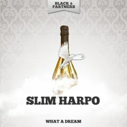 Slim Harpo - Rainin In My Heart