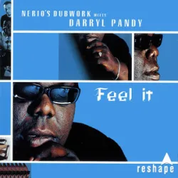 Nerios Dubwork Feat Darryl Pandy - Feel It