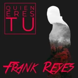 Frank Reyes - Dejame Entrar En Ti
