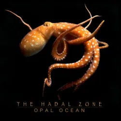 Opal Ocean - Schmeckledy Pop