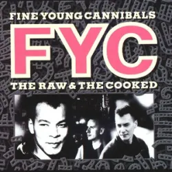 Fine Young Cannibales - She Drives Me Crazy
