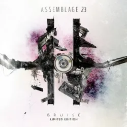 Assemblage 23 - The Noise Inside My Head