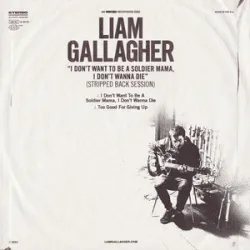 Liam Gallagher - Too Good For_giving Up