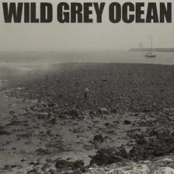 Sam Fender - Wild Grey Ocean
