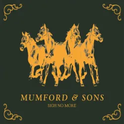 Mumford & Sons - I Gave You All