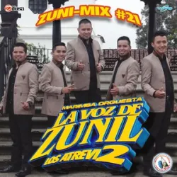 Marimba Orquesta La Voz De Zunil - El Trenecito