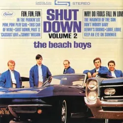The Beach Boys - Dont Worry Baby